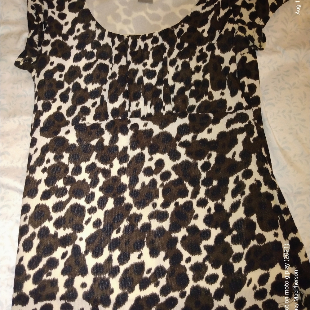 ANN TAYLOR SMALL SHORT SLEEVE BLOUSE